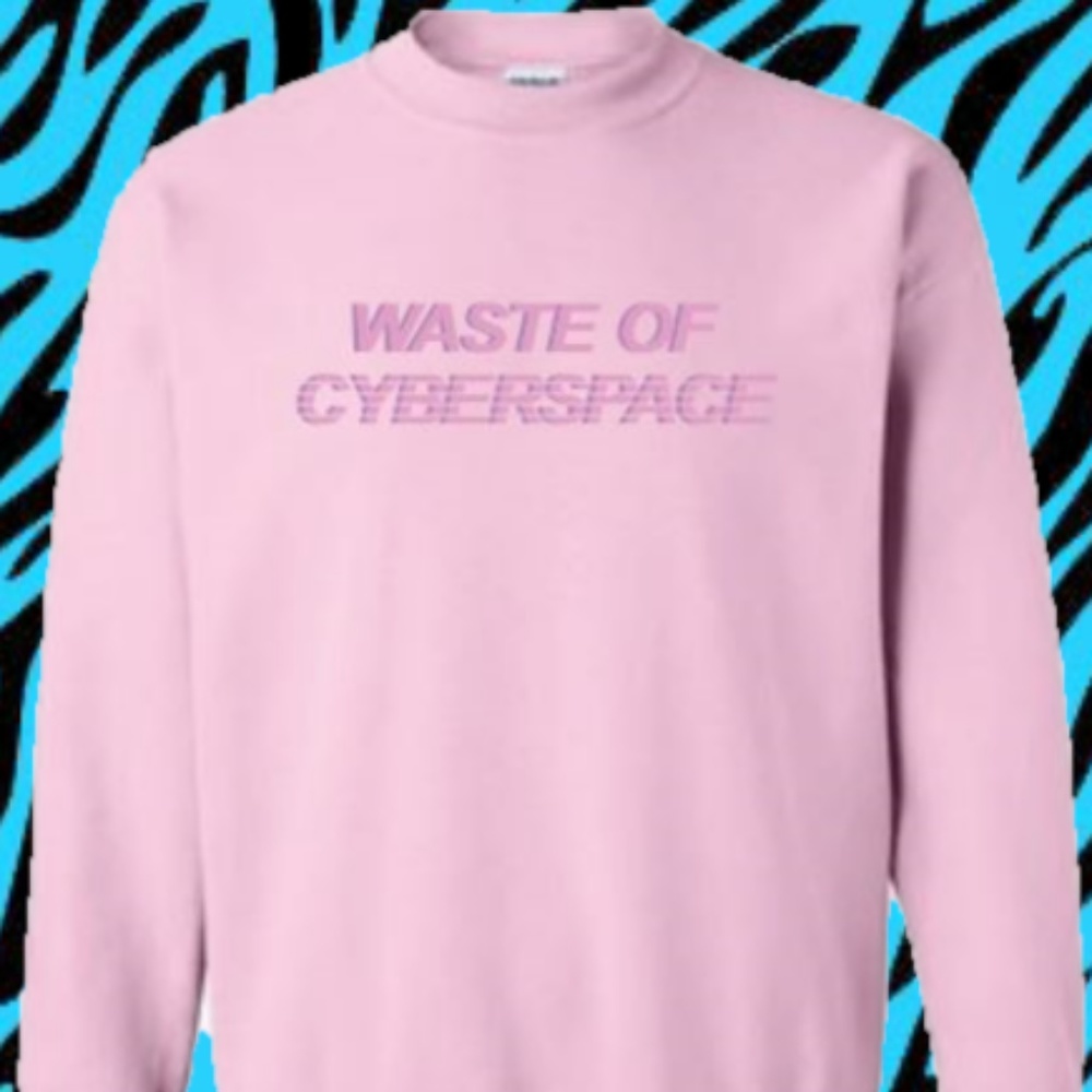 WASTE OF CYBERSPACE pastel pink sweatshirt
